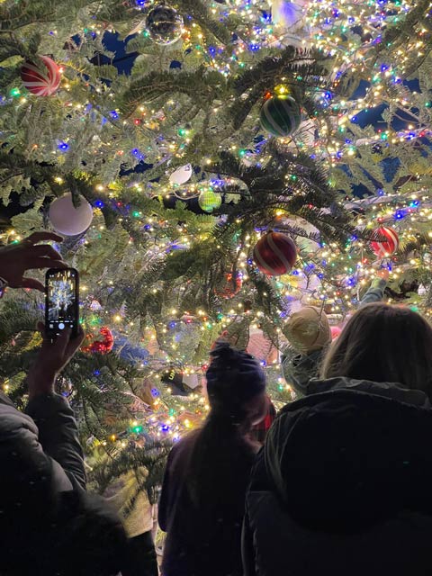 people in front of a lit Christmas tree