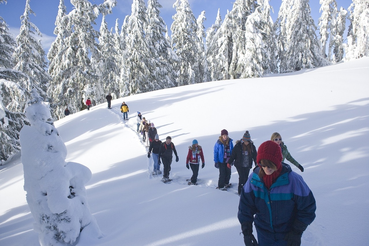 Snowshoe tour with Travel You to the Moon
