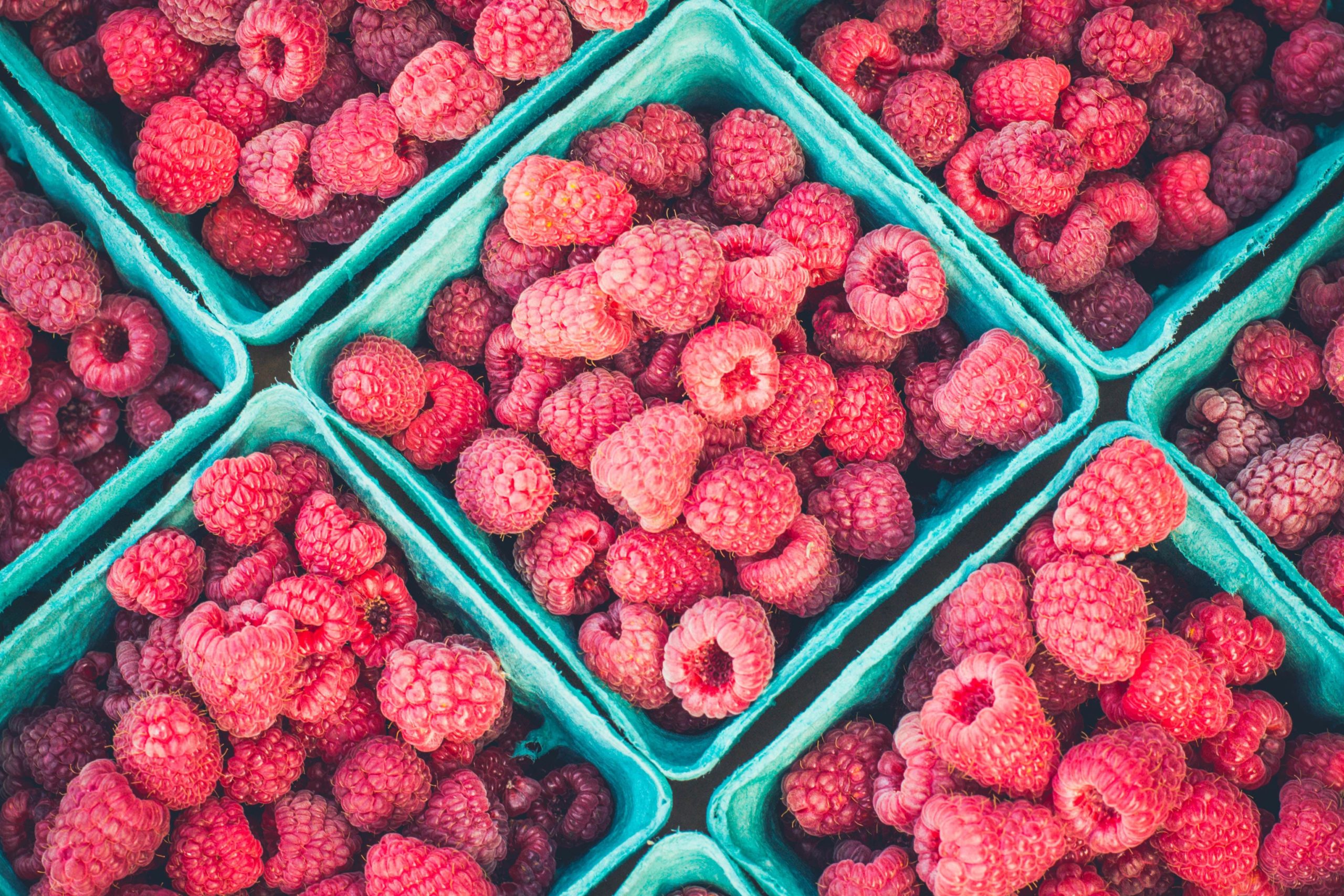 fresh raspberries arranged in square turquoise containers