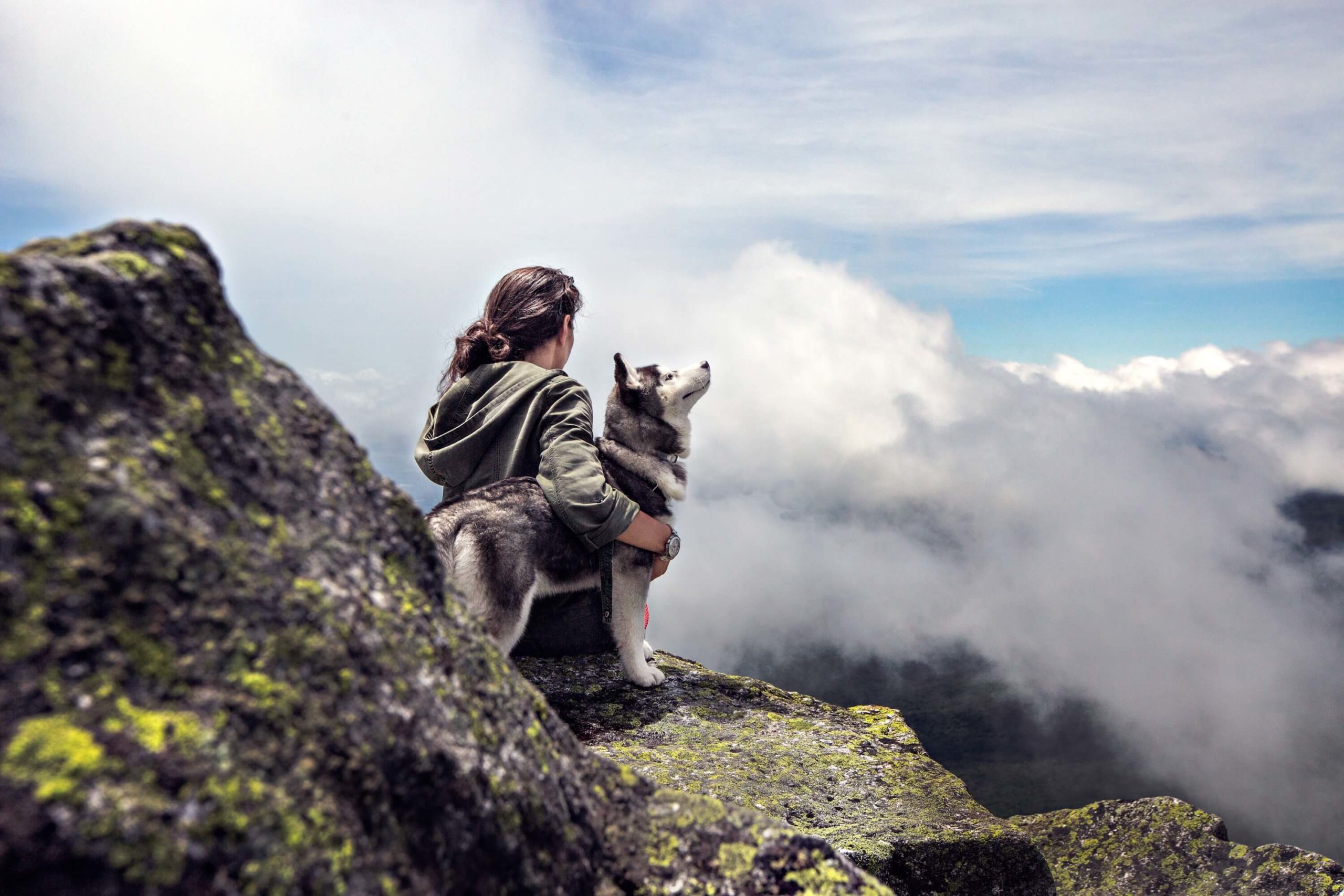 woman and a dog on a rock overlooking the mountains