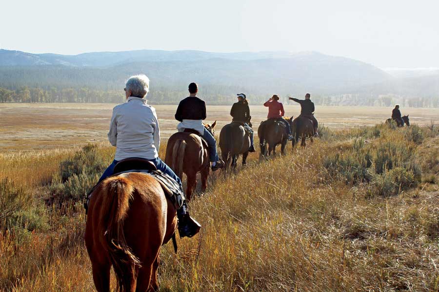 A group horseback riding