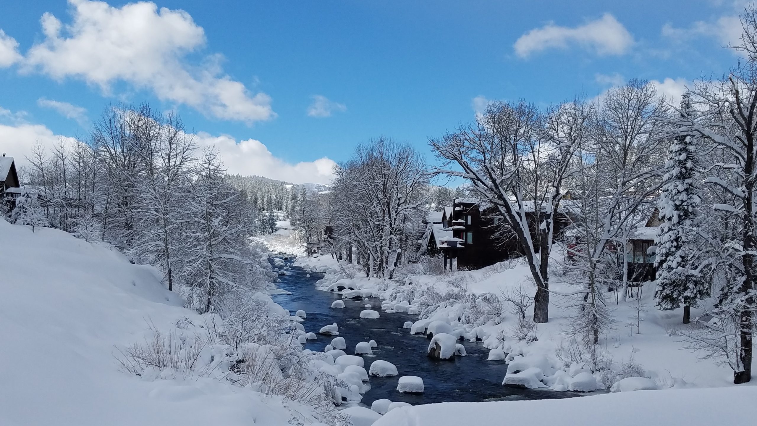 Book Our Central Truckee CA Home Rentals Tahoe Signature Properties