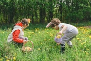 Easter egg hunt. Two children hunt for Easter eggs in a spring garden. Easter tradition. Laughing children in garden with basket spring