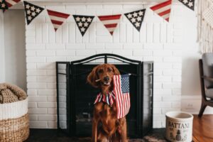 4th of July Rentals in North Lake Tahoe