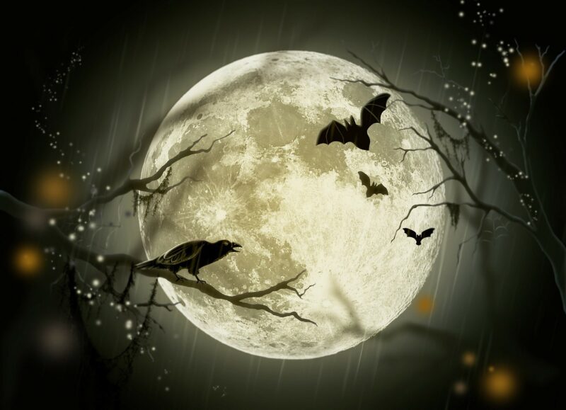 Enjoy fun events this Tahoe Halloween weekend