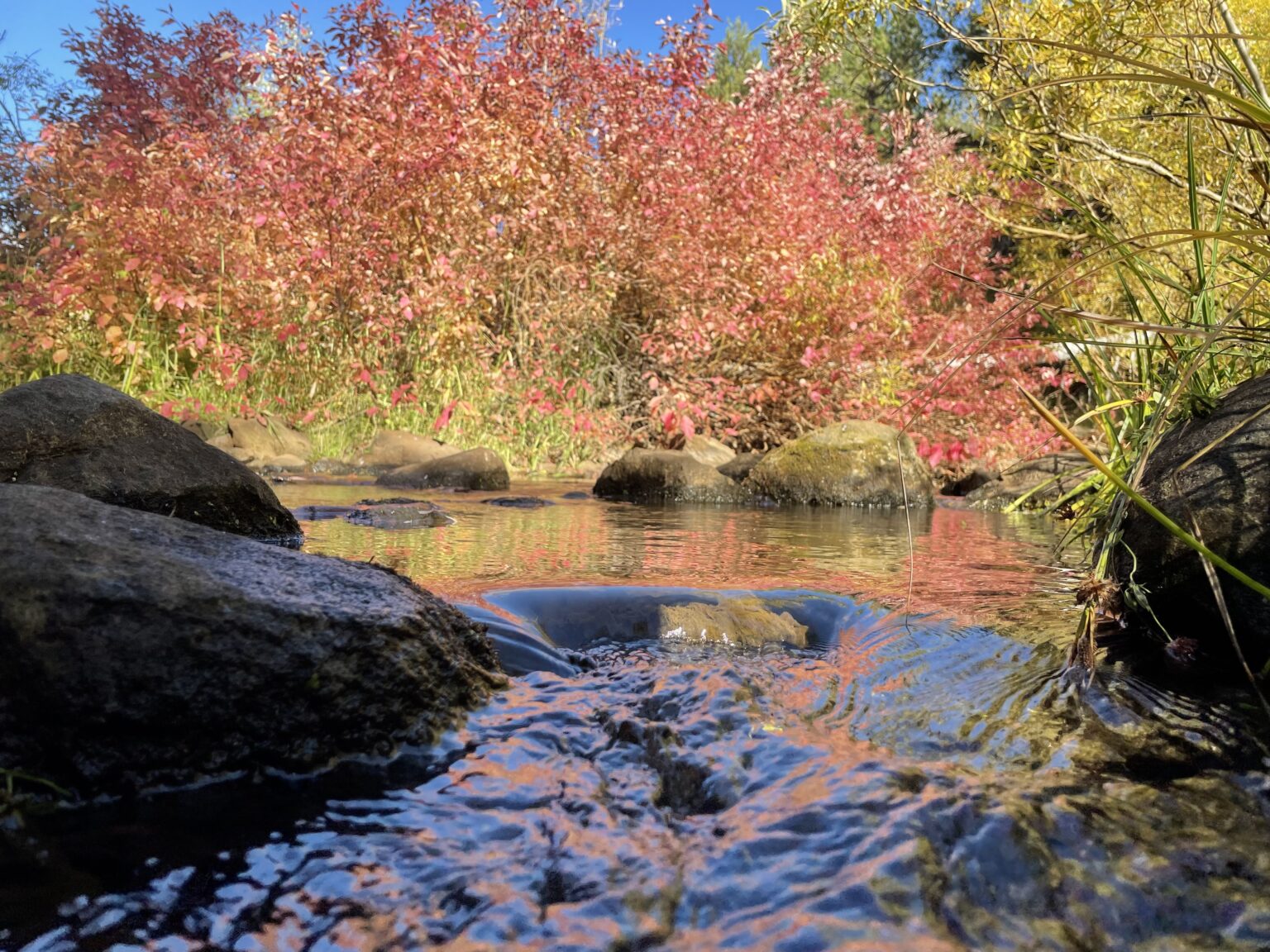 Creek with fall color and granite near Truckee