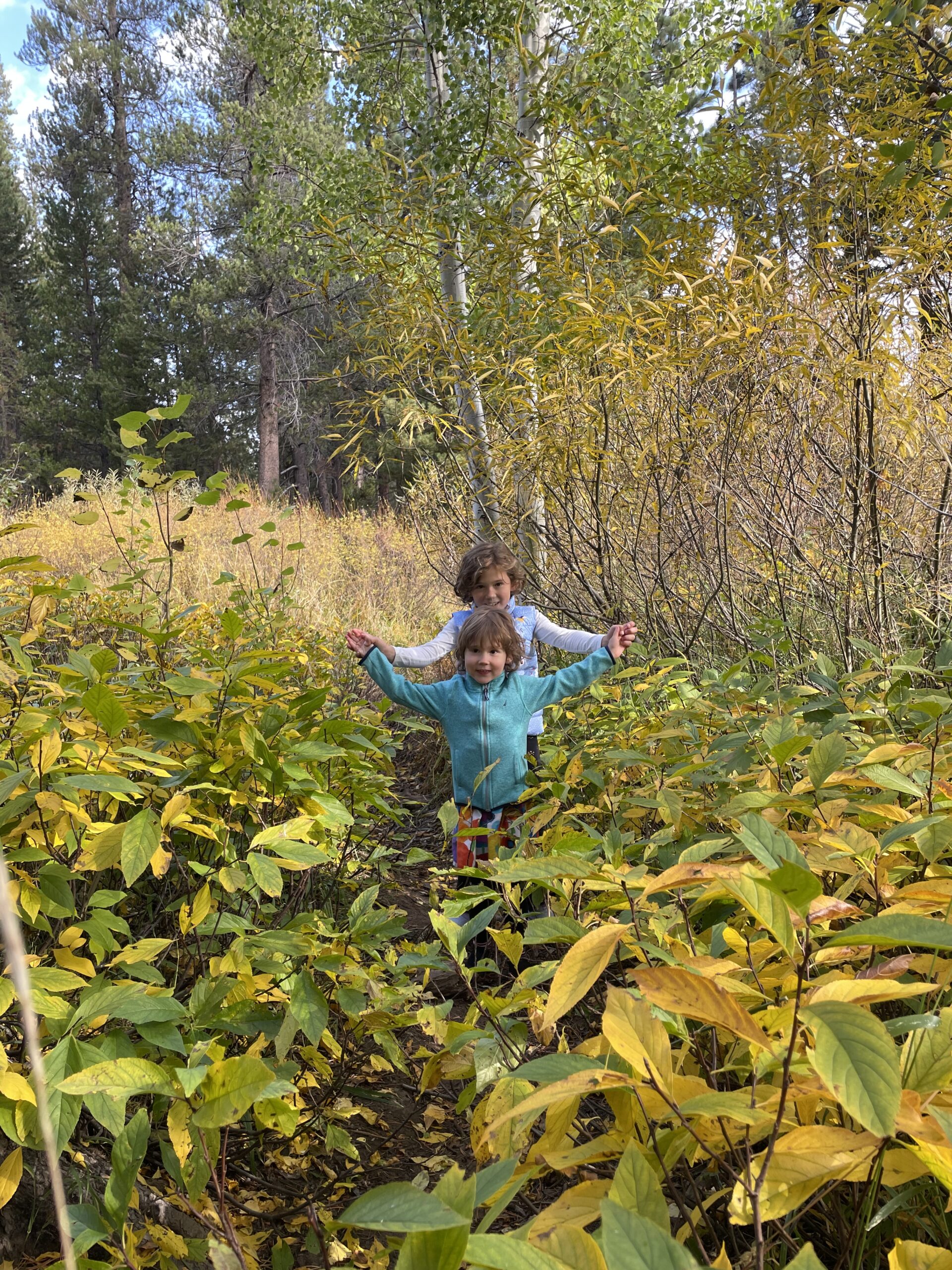 two children standing in nature - North Lake Tahoe fall hiking