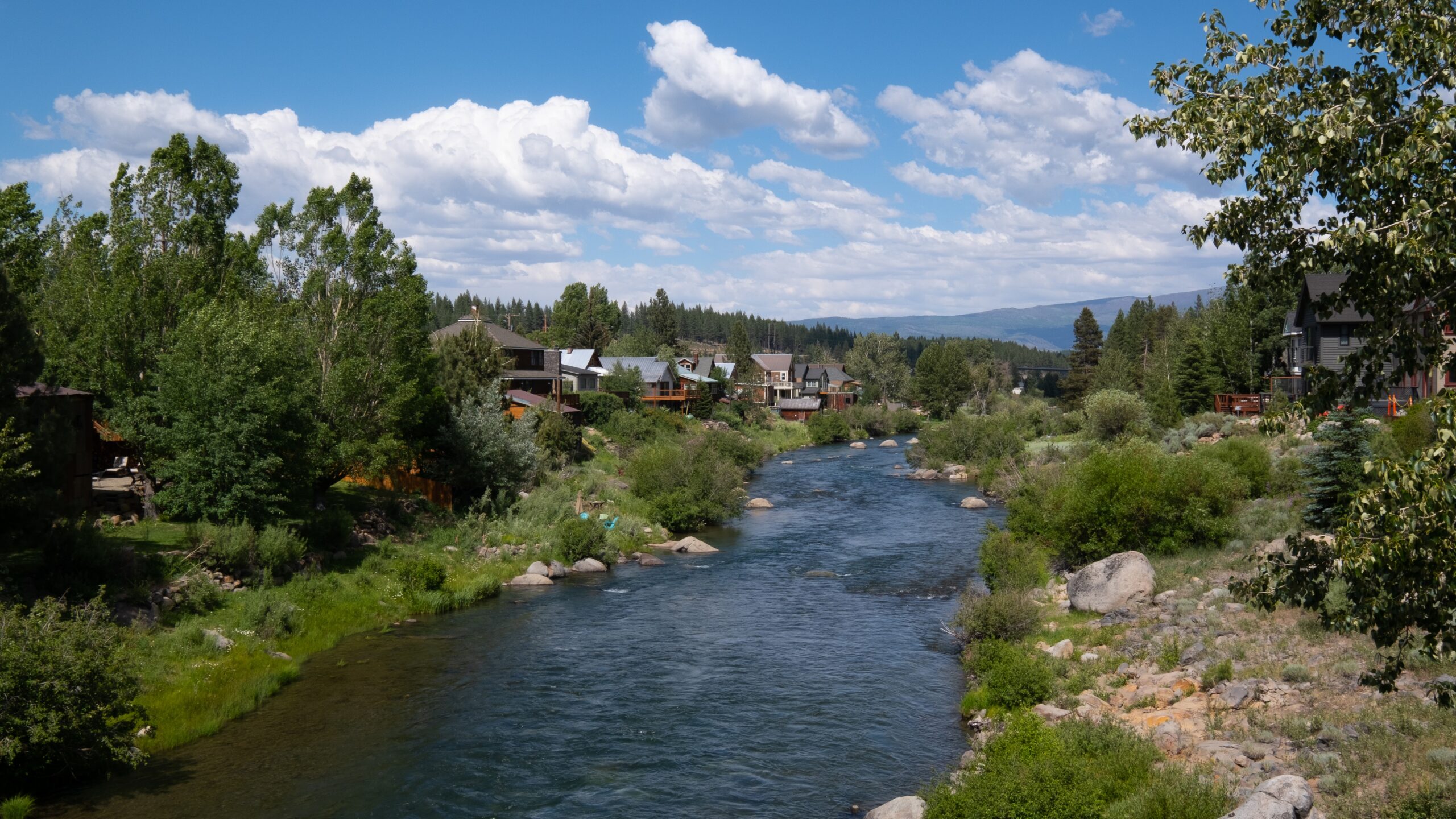 The Great Trail Race, Run, Hike, Walk!