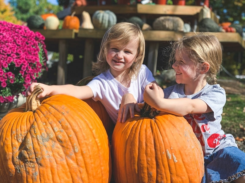 two little girls sitting next to large pumpkins - Harvest Festival - fall