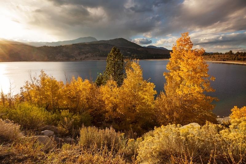 Autumn in Sierra Nevada