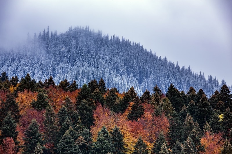 Contrast of two seasons in one image: autumn and winter after sunset.