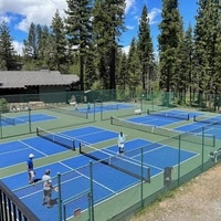Frozen Pickleball Tournament