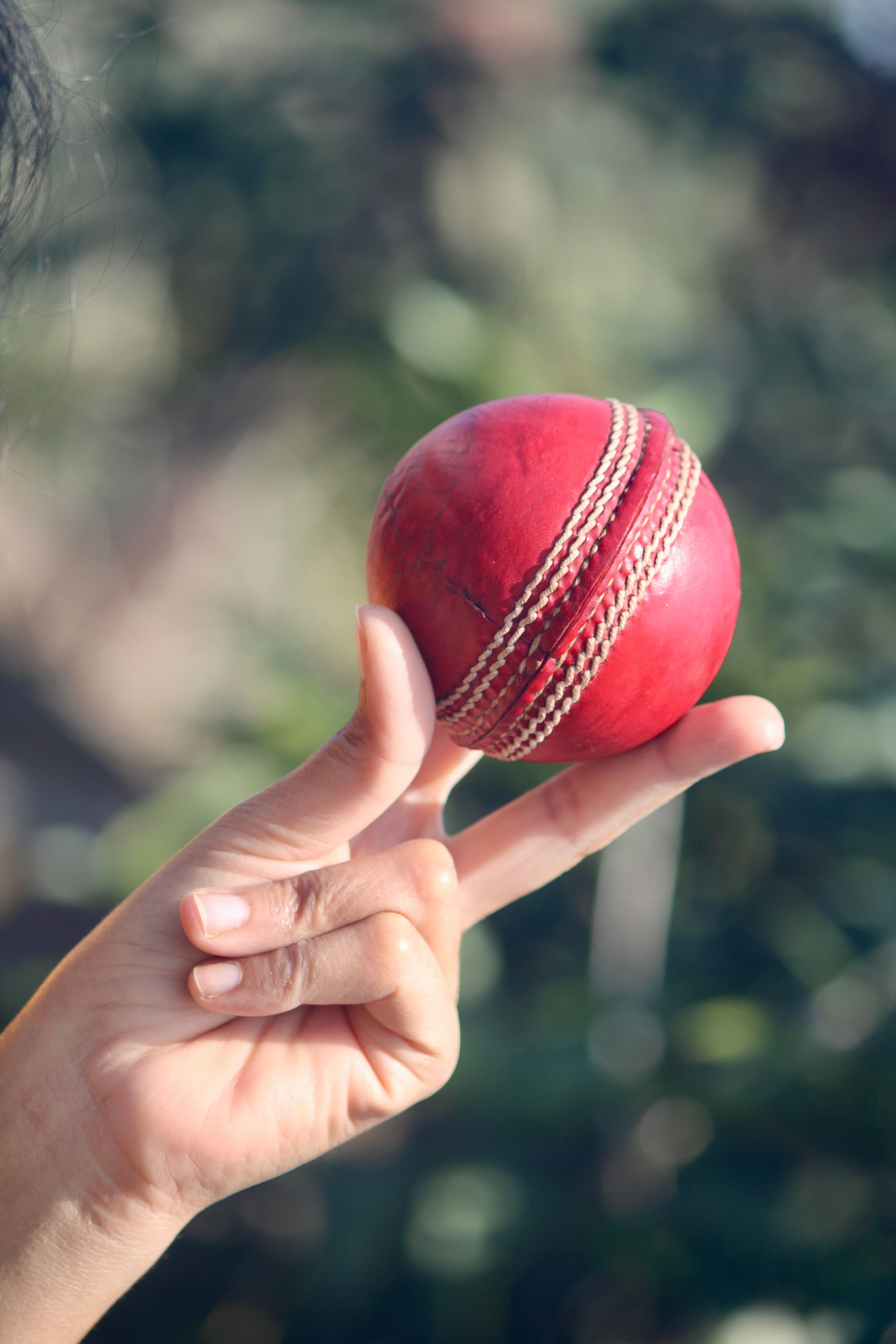 Cricket in North Tahoe