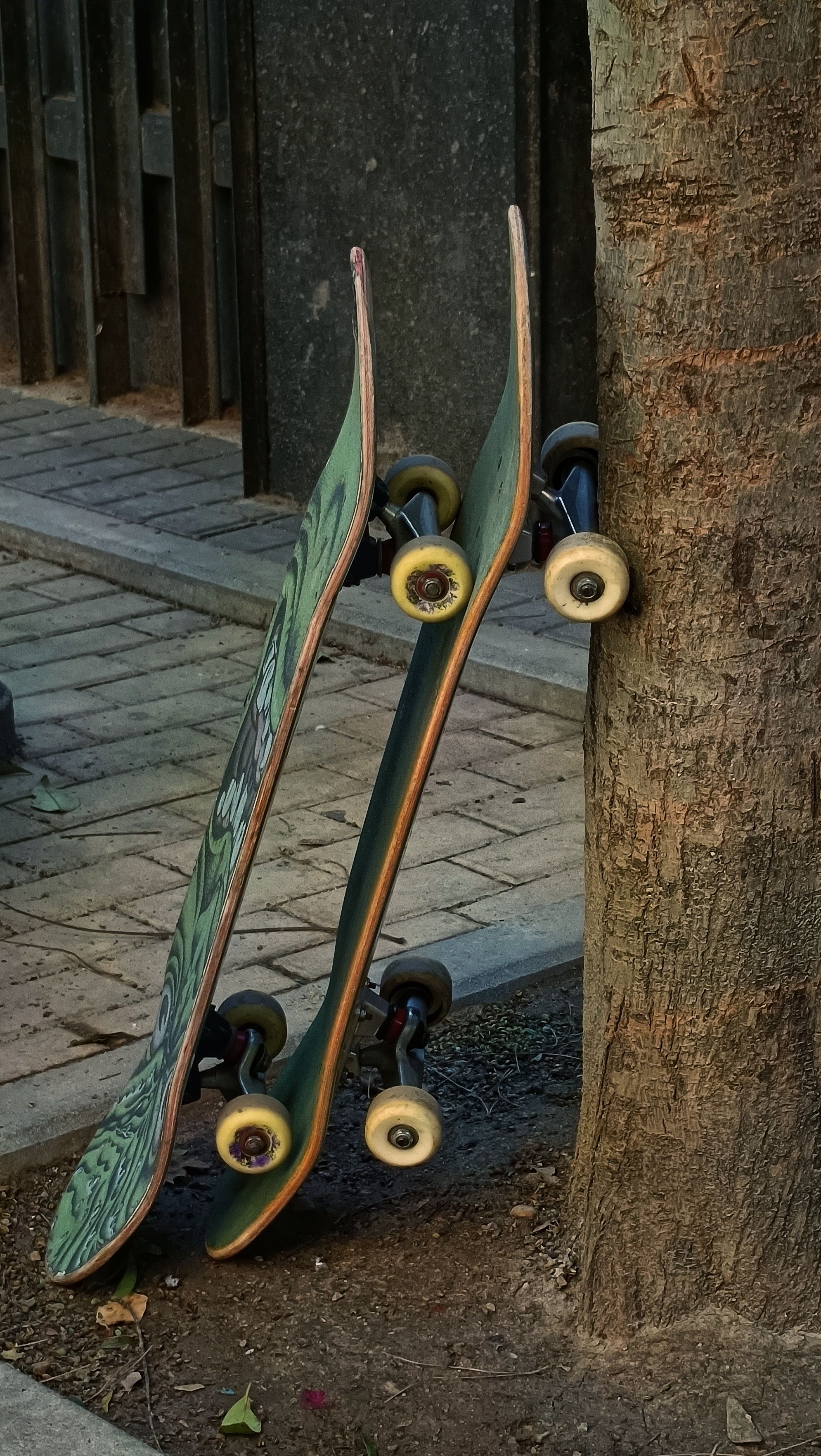 Boarding For Breast Cancer: Skate the Lake