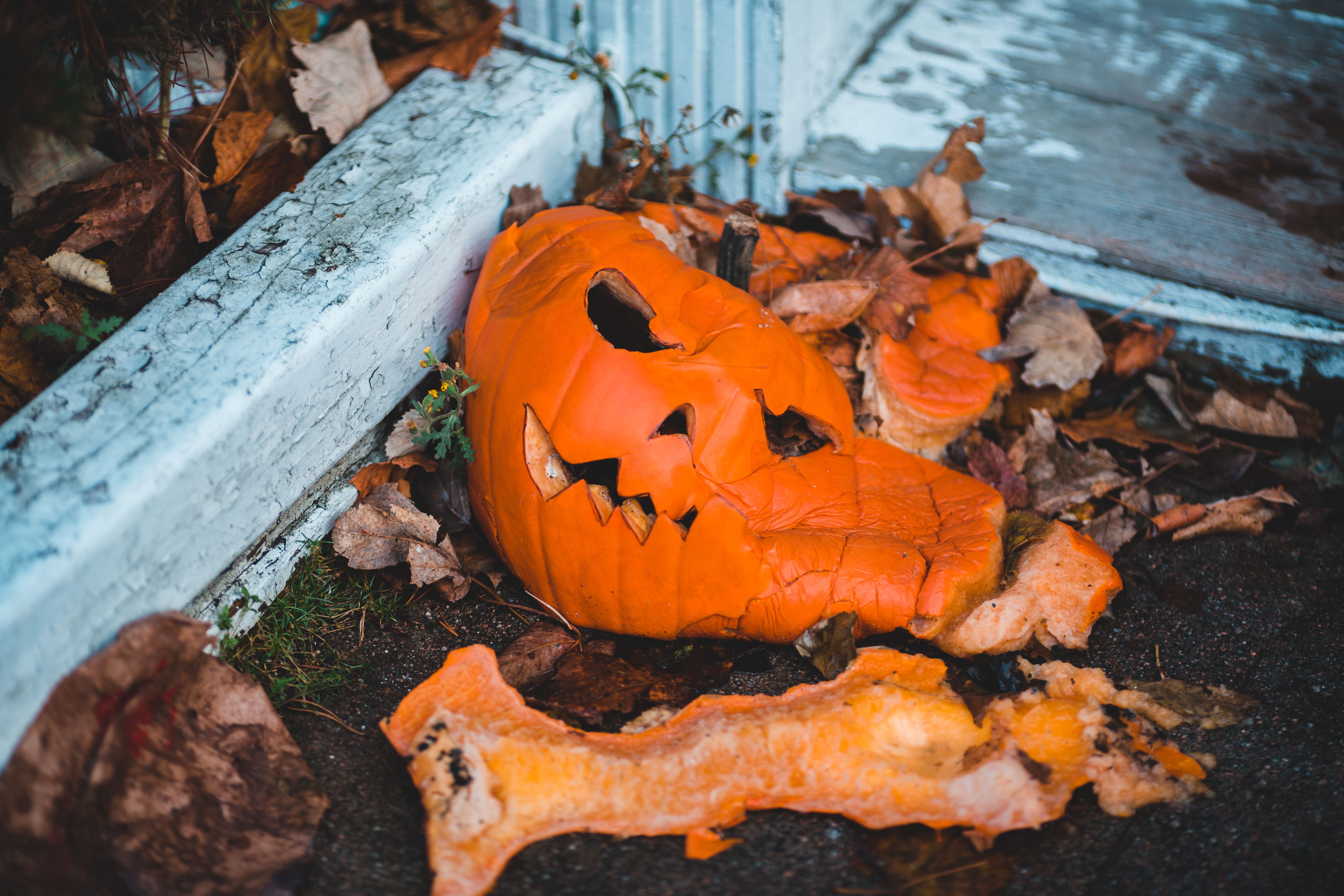 Spooky Fun at Watson Cabin