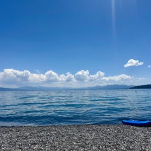 IMG_8894
