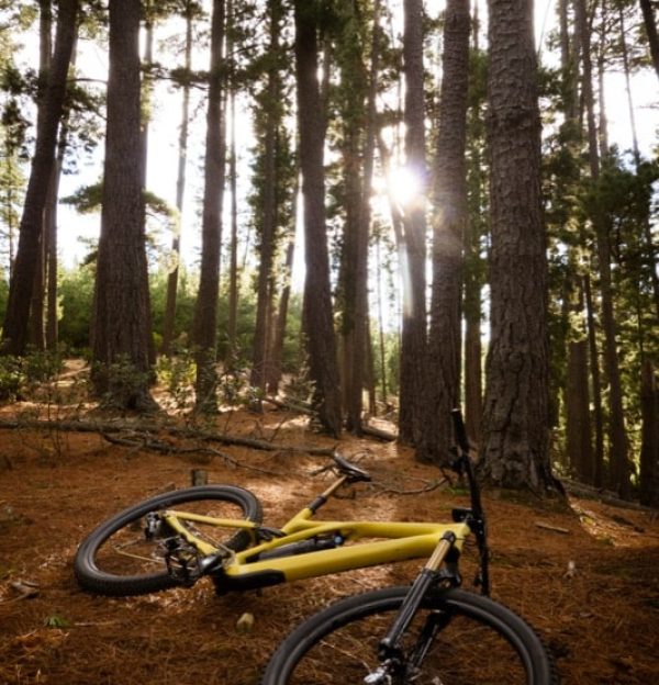 Trails at Djuwang Baring Mountain Bike Park on a cold winter's morning in Creswick, Victoria, Australia