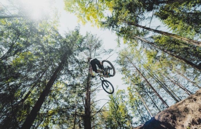 A mountain biker riding on a forest dirt trail.
