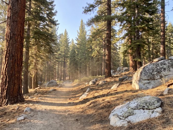 nlt-alpine-hikes